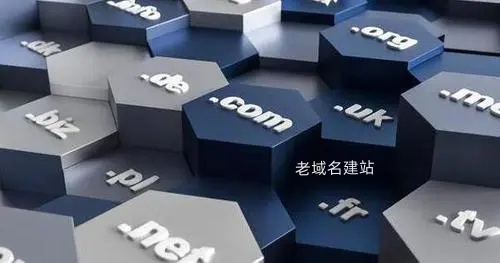 老域名建站